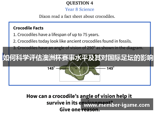 如何科学评估澳洲杯赛事水平及其对国际足坛的影响