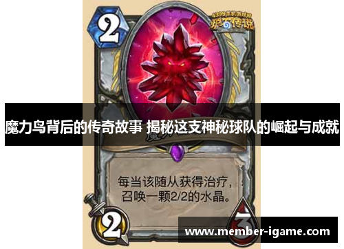魔力鸟背后的传奇故事 揭秘这支神秘球队的崛起与成就