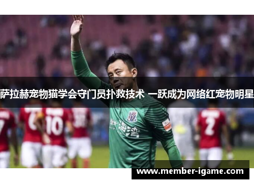 萨拉赫宠物猫学会守门员扑救技术 一跃成为网络红宠物明星