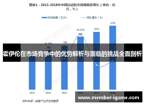 霍伊伦在市场竞争中的优势解析与面临的挑战全面剖析